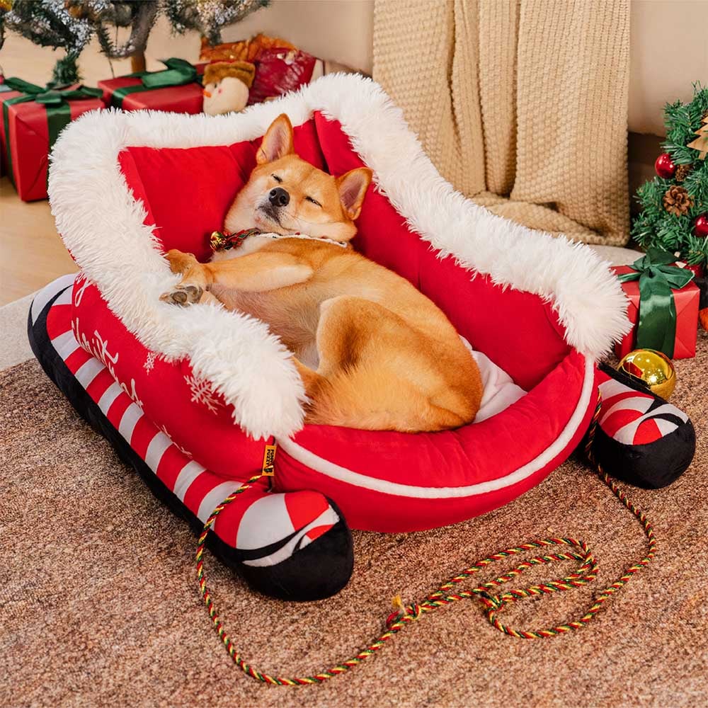 PawSleigh – The Festive Dog Bed for Dreamy Winter Days