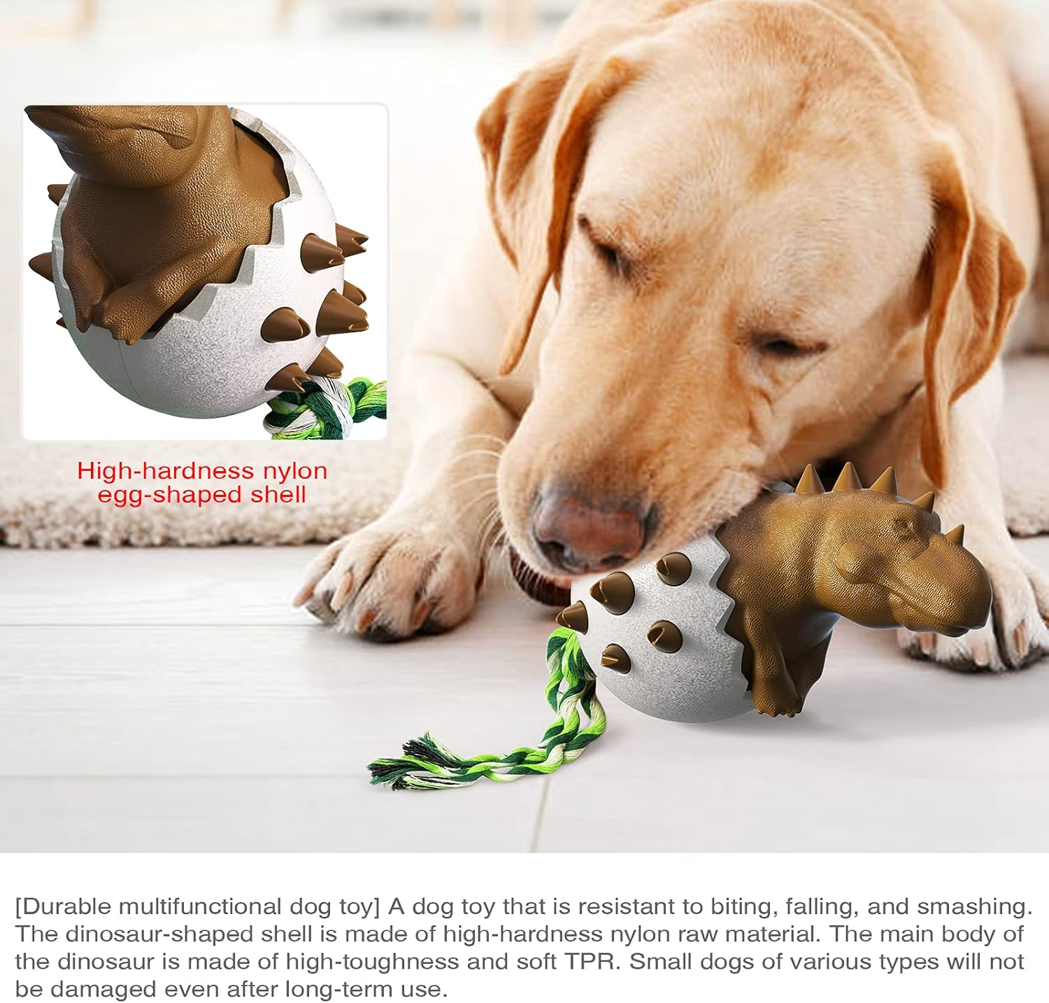 DinoEgg – The Indestructible Chew Egg for Healthy Dog Teeth!