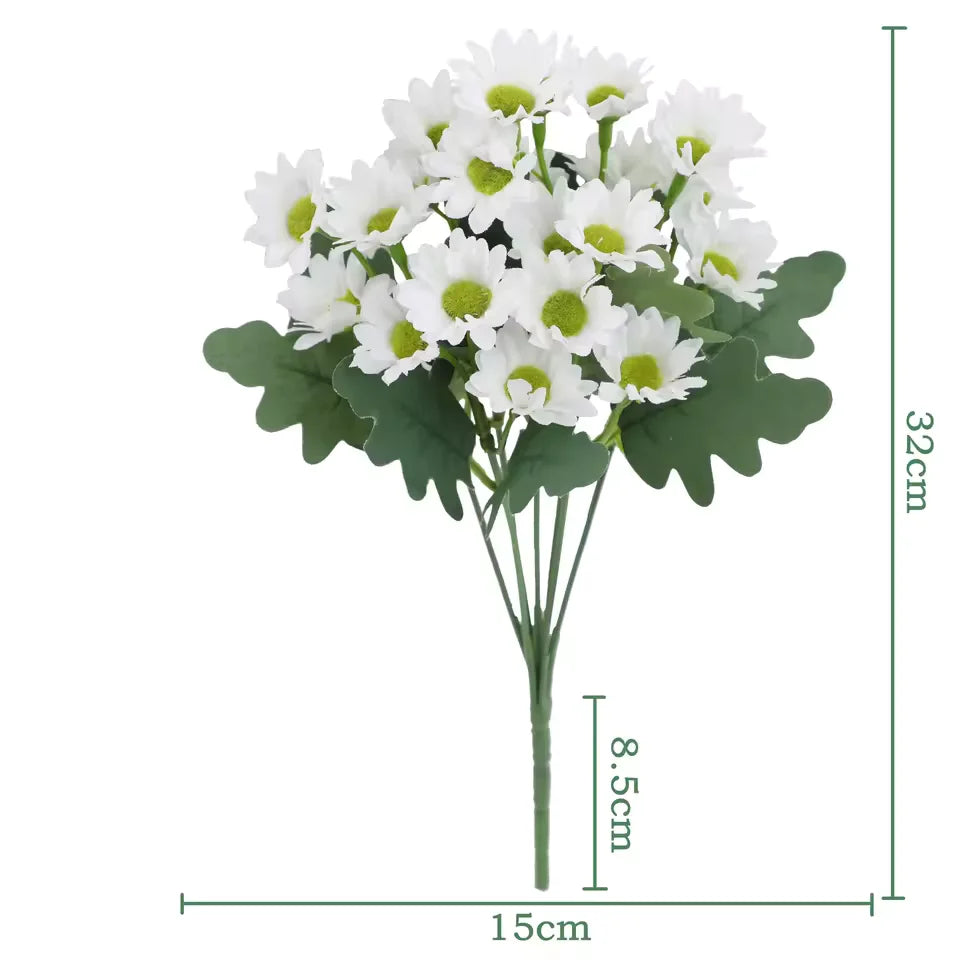 1+1 FREE | EverDaisies – Radiant Beauty That Never Fades!