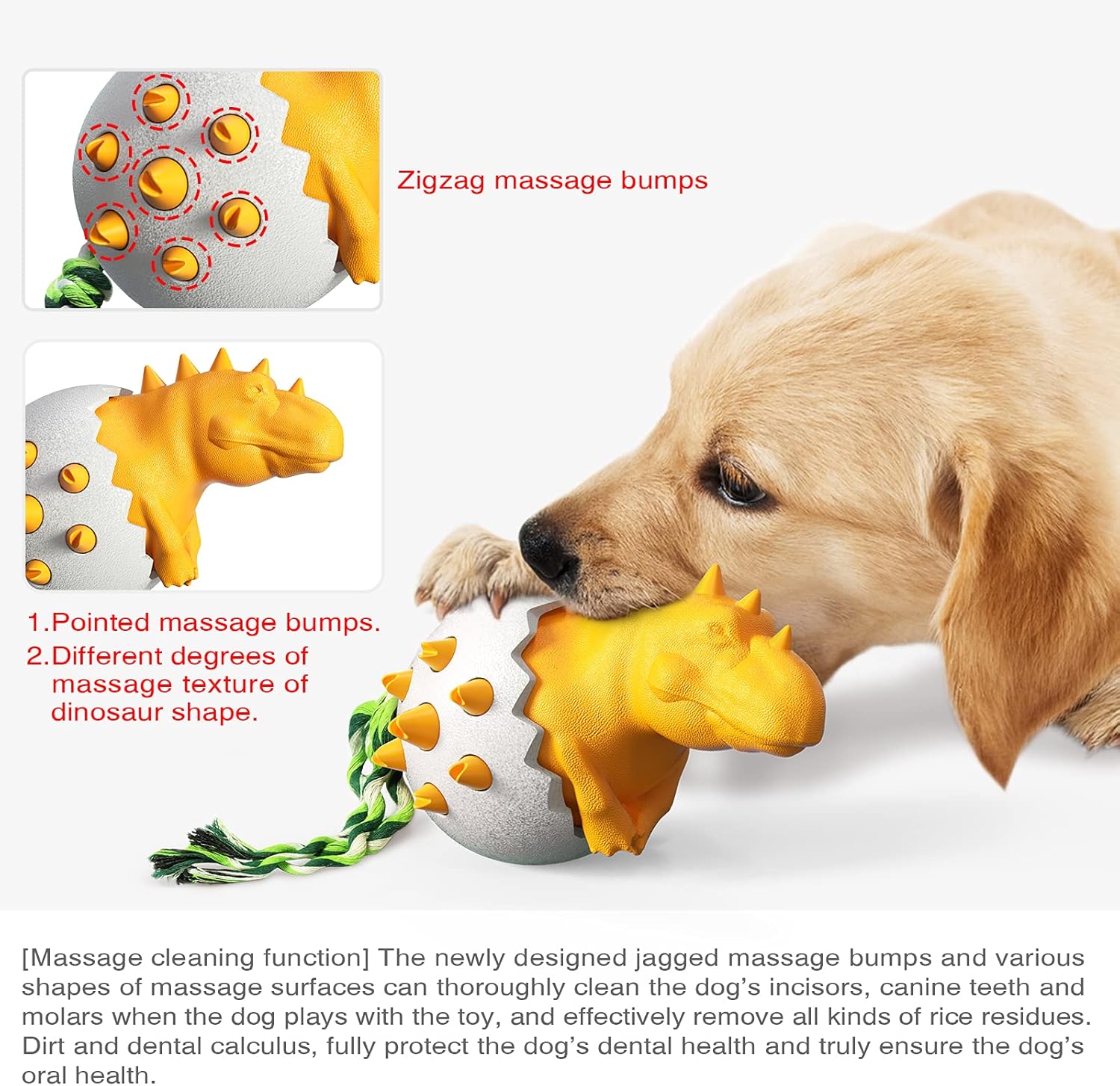DinoEgg – The Indestructible Chew Egg for Healthy Dog Teeth!