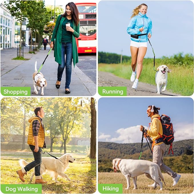 PawsFree Pro – Stress-Free Walks with Your Dog
