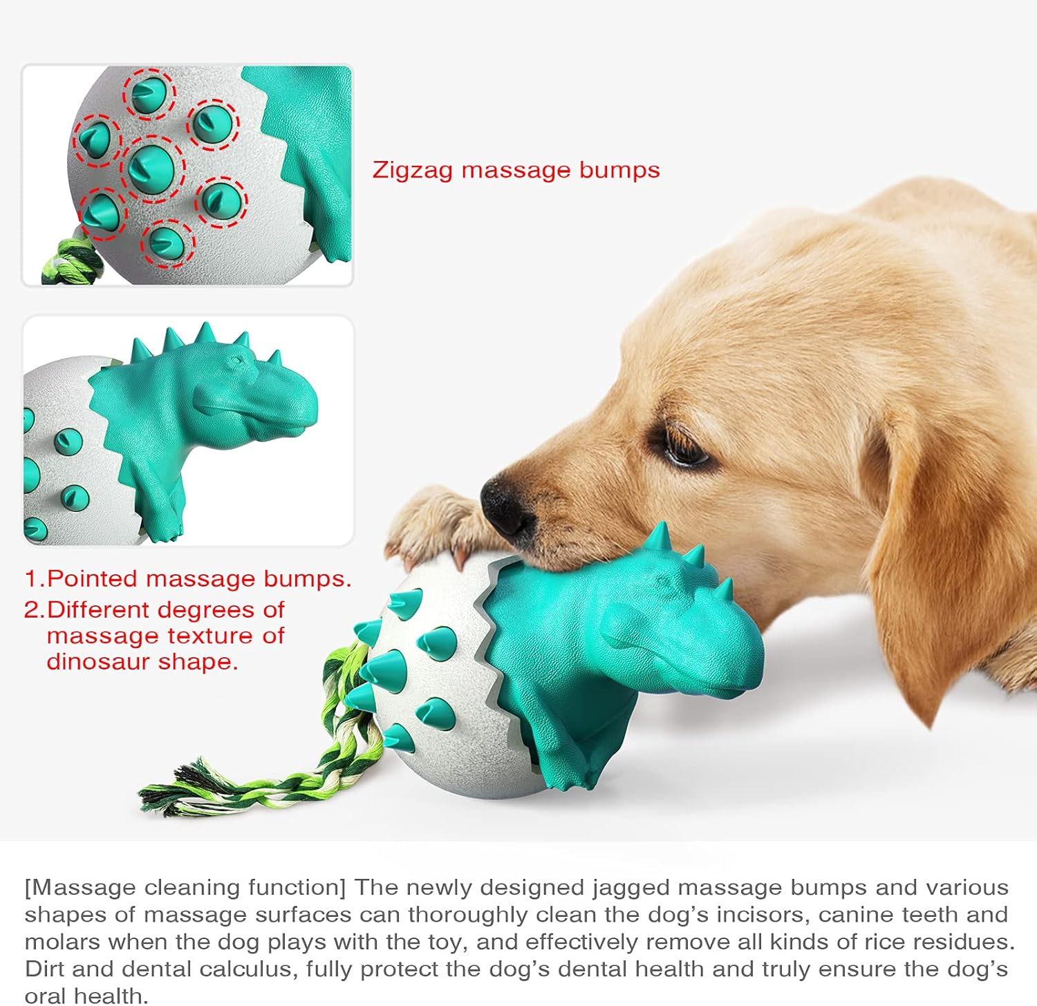 DinoEgg – The Indestructible Chew Egg for Healthy Dog Teeth!