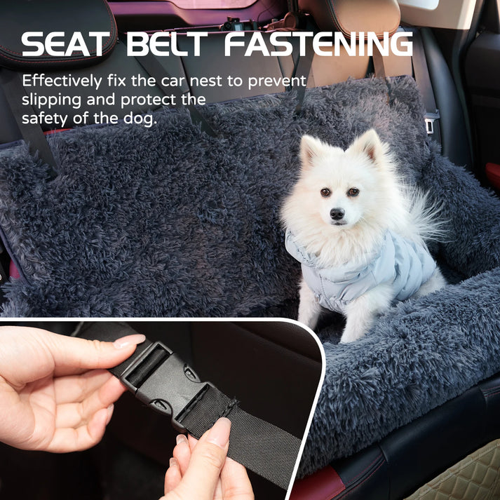 CarPaw – Travel safely and relaxed with your dog!