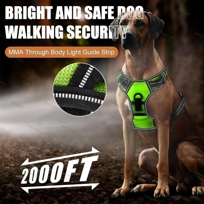 PawGuard – Walk Safely & Stylishly
