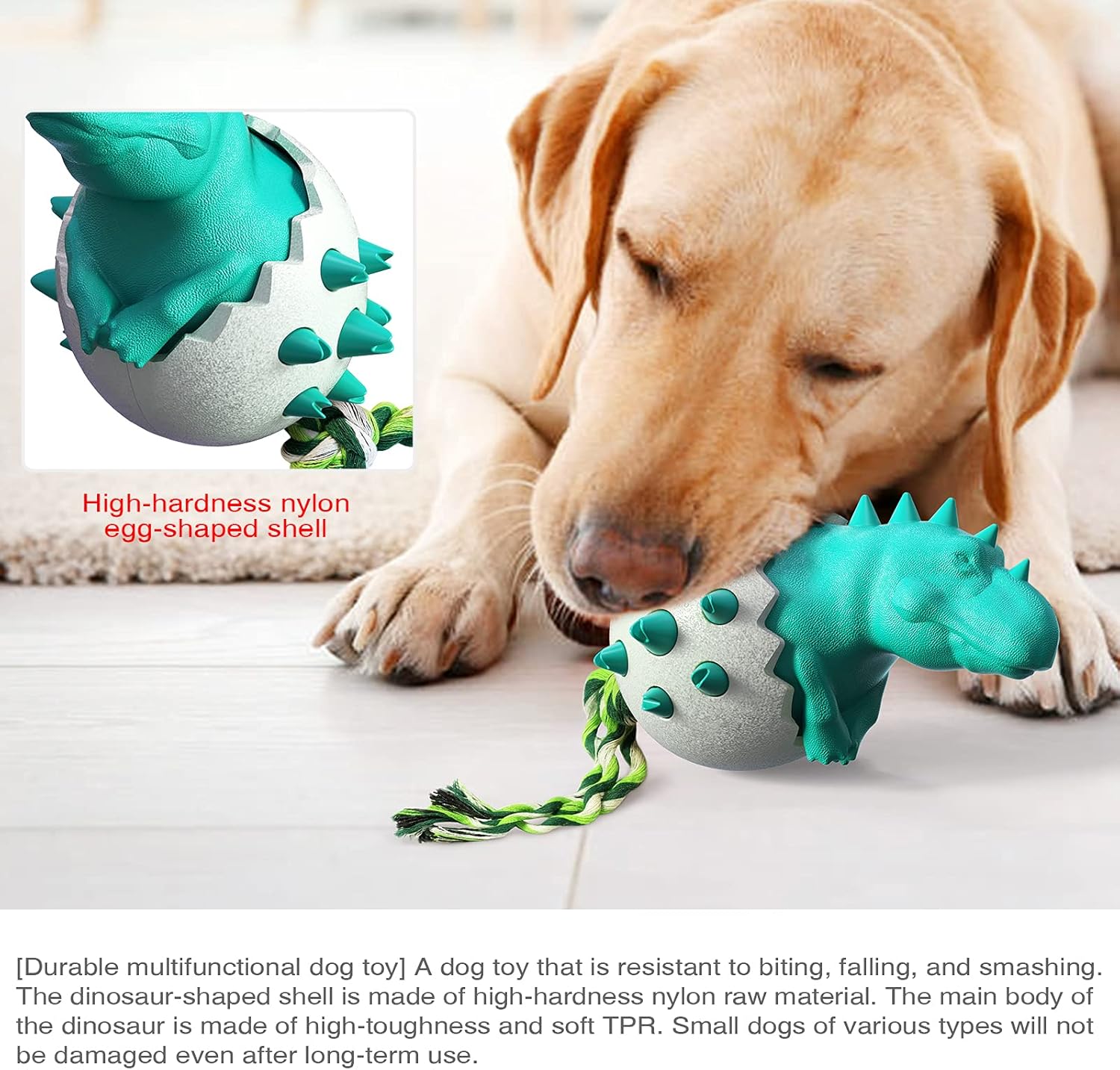 DinoEgg – The Indestructible Chew Egg for Healthy Dog Teeth!