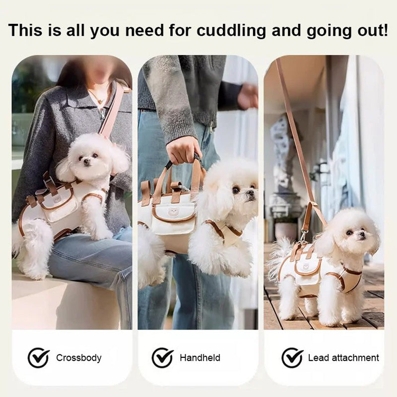 PetGo – Comfort & Safety for You and Your Pet