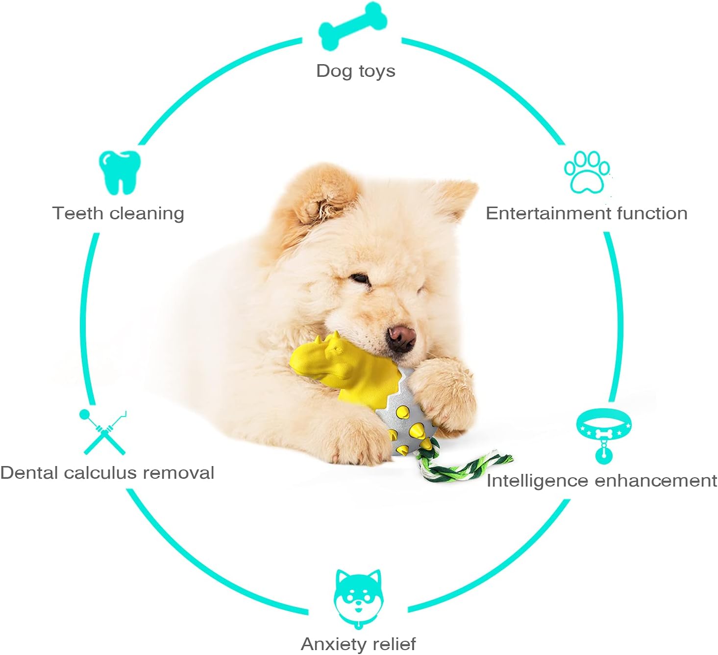 DinoEgg – The Indestructible Chew Egg for Healthy Dog Teeth!