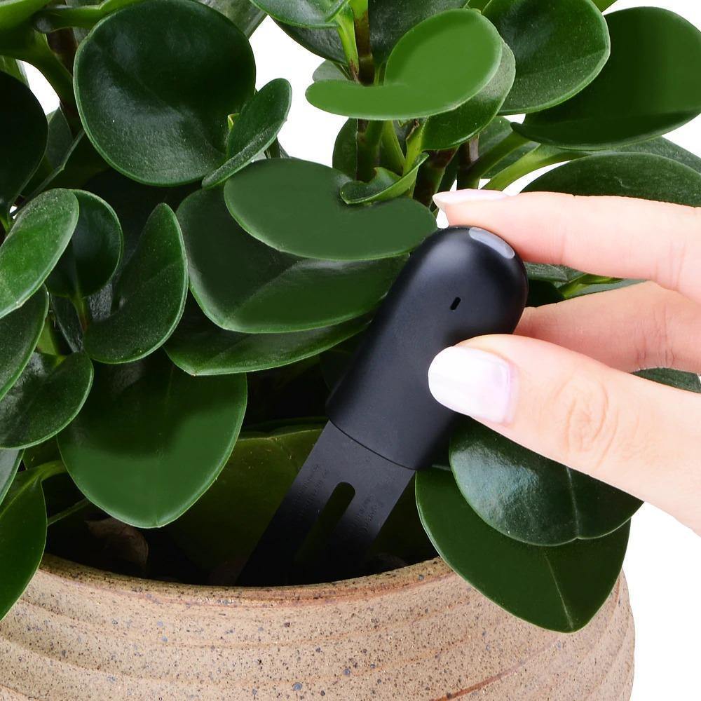 PlantSense – Overwatering or underwatering your plants is a thing of the past