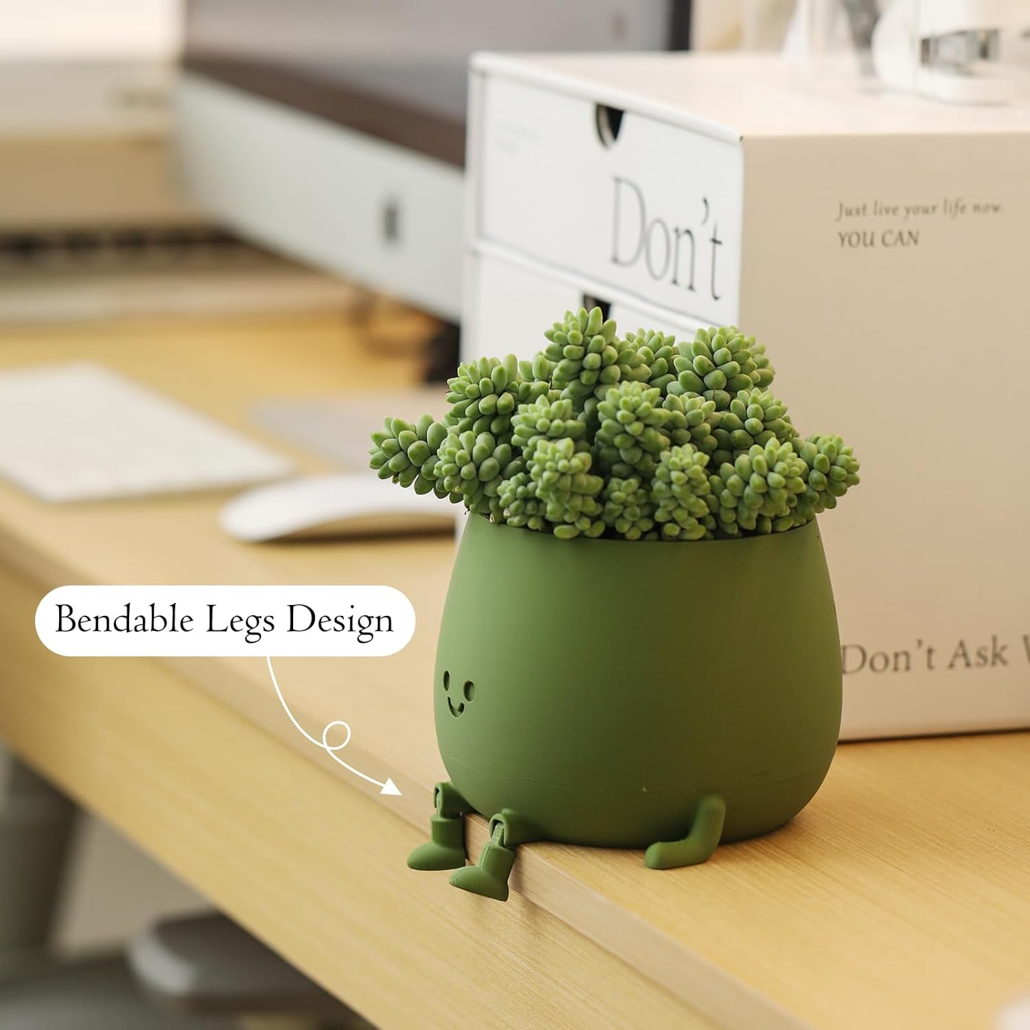 BloomBuddy – Smiling Plants, Happy Home