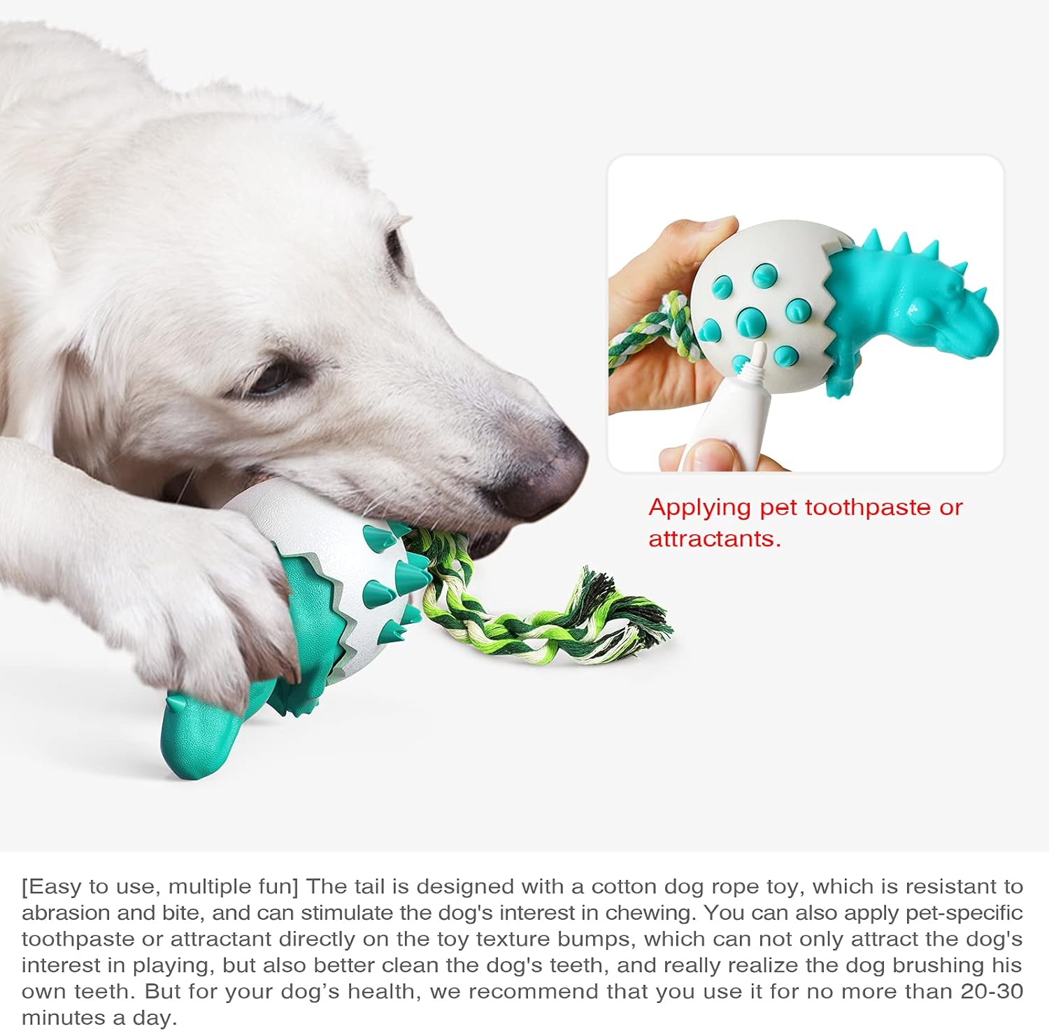 DinoEgg – The Indestructible Chew Egg for Healthy Dog Teeth!