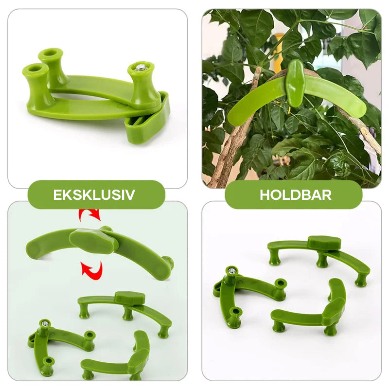 2+3 FREE | PlantHeld - Keep plants strong, upright, and healthy daily