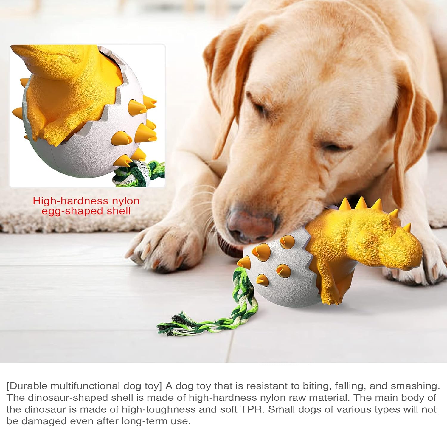 DinoEgg – The Indestructible Chew Egg for Healthy Dog Teeth!