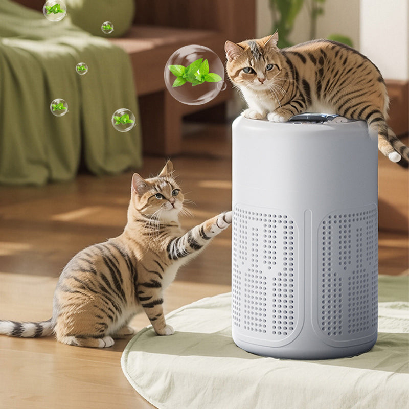 PureBreathe – Instantly Clean Air for Large, Quiet Rooms