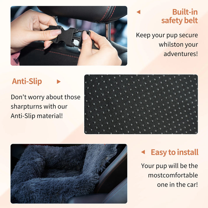 CarPaw – Travel safely and relaxed with your dog!