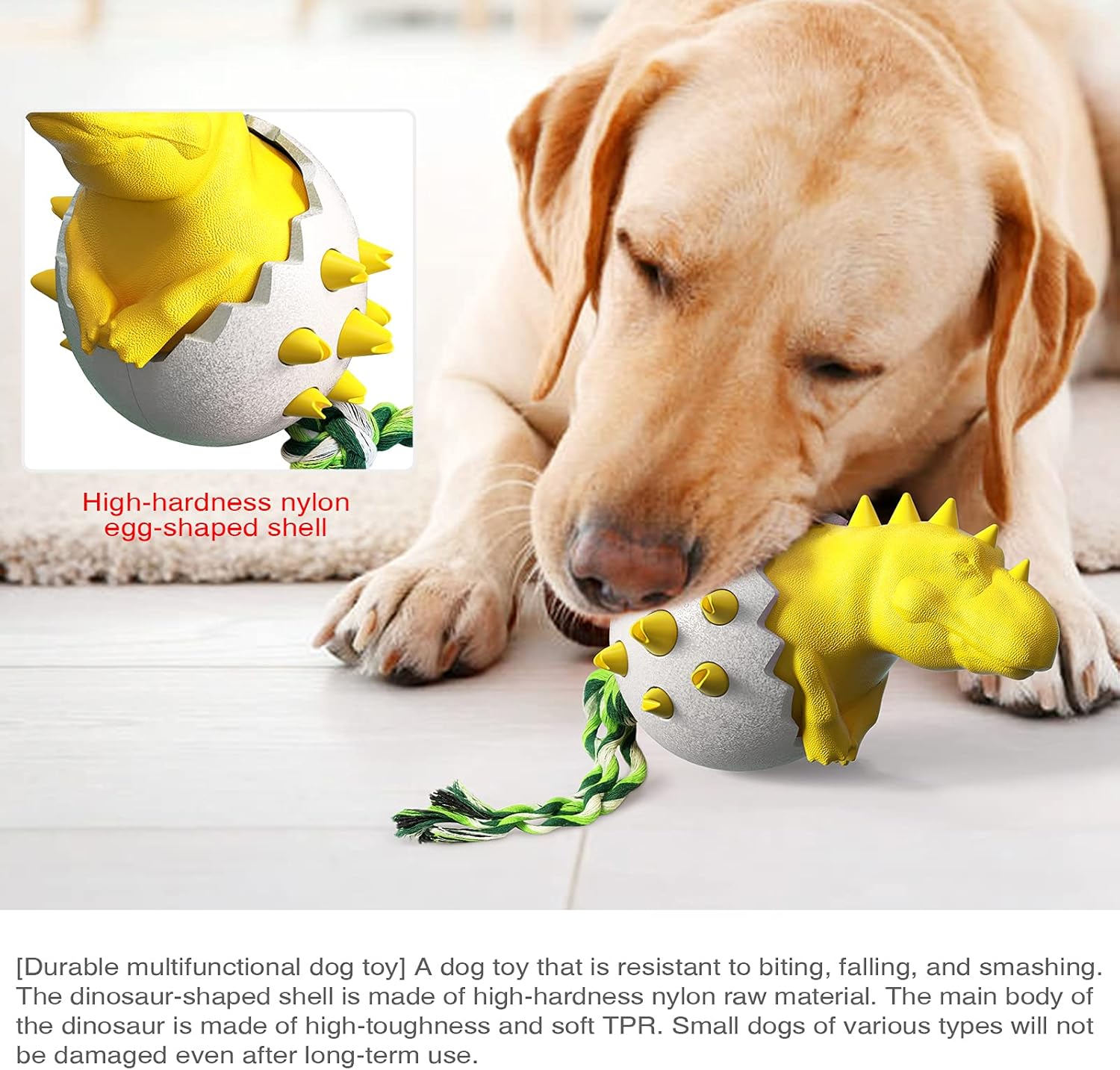 DinoEgg – The Indestructible Chew Egg for Healthy Dog Teeth!