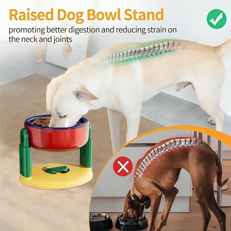 CleanBowl Station – Clean Feeding, Healthier Pets