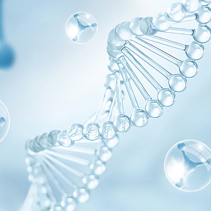 GermFree Light – 99.9% Germ-Free in Just 3 Minutes