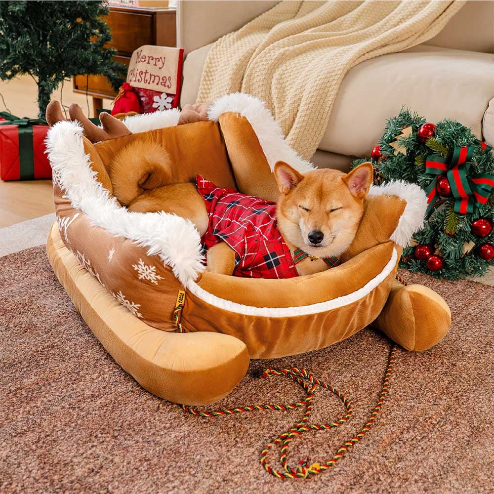 PawSleigh – The Festive Dog Bed for Dreamy Winter Days