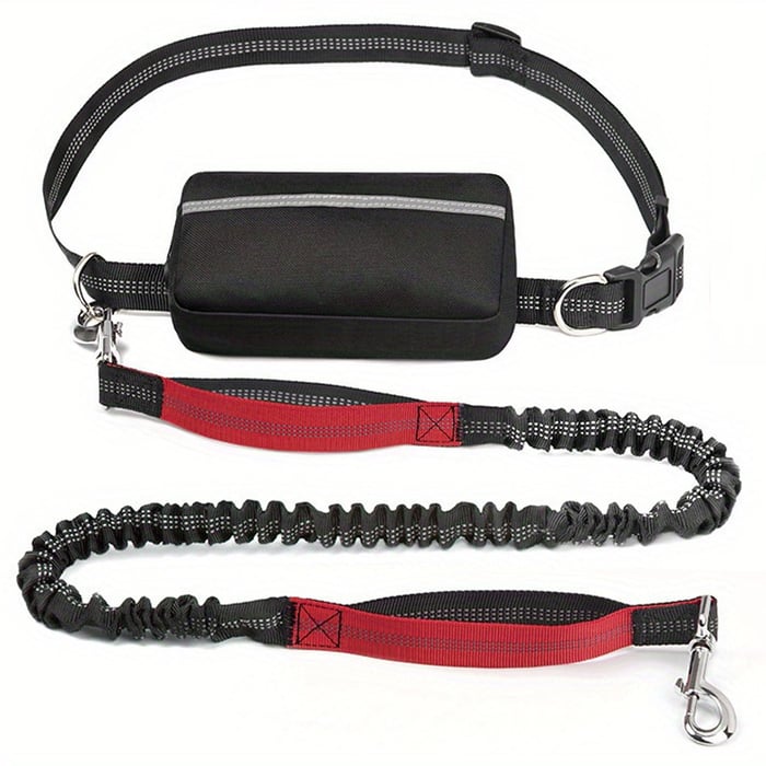 BestBuddy – Freedom & Control on Every Walk!