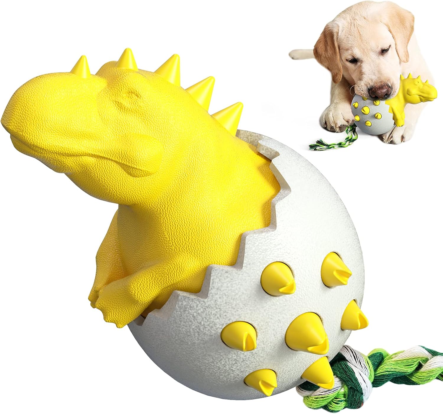 DinoEgg – The Indestructible Chew Egg for Healthy Dog Teeth!