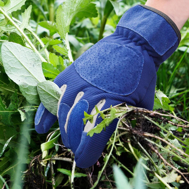 AntiThorn – Ultimate Protection Against Cuts and Scratches While Gardening