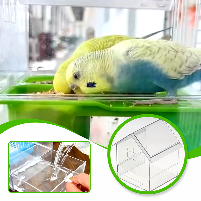 ClearFeast Bird – Clean feeding without food mess