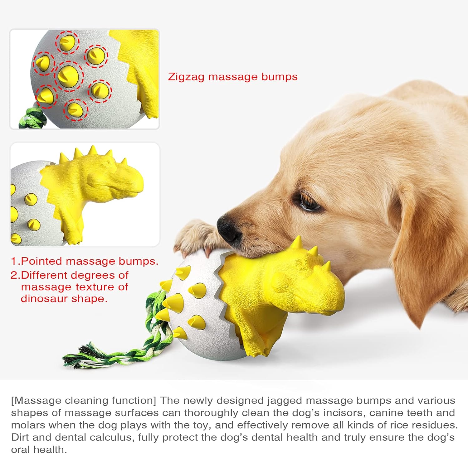 DinoEgg – The Indestructible Chew Egg for Healthy Dog Teeth!