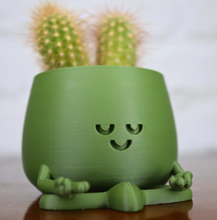 BloomBuddy – Smiling Plants, Happy Home