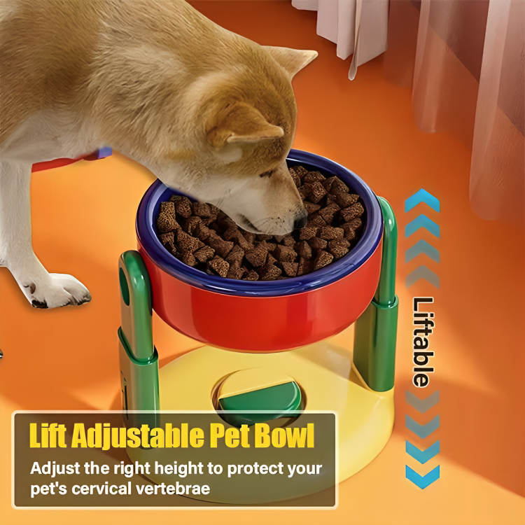 CleanBowl Station – Clean Feeding, Healthier Pets