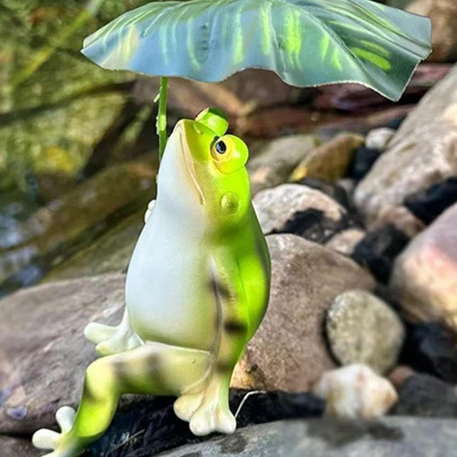FrogZen – The Little Frog That Brings Peace and Joy