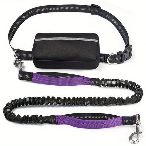 BestBuddy – Freedom & Control on Every Walk!
