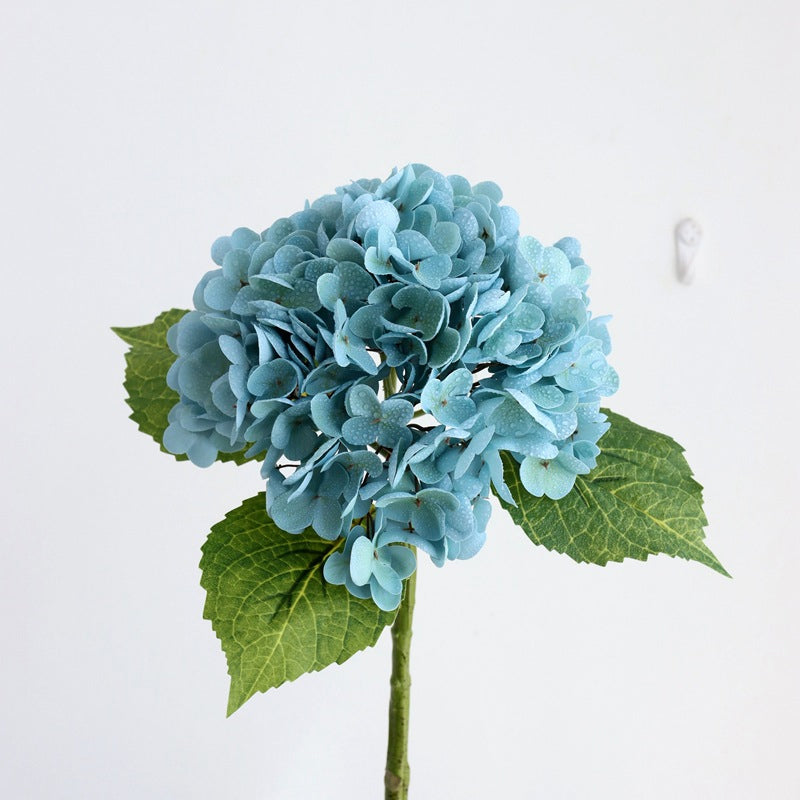 HydrangeaAura - Eternal Living Flowers Without Any Care