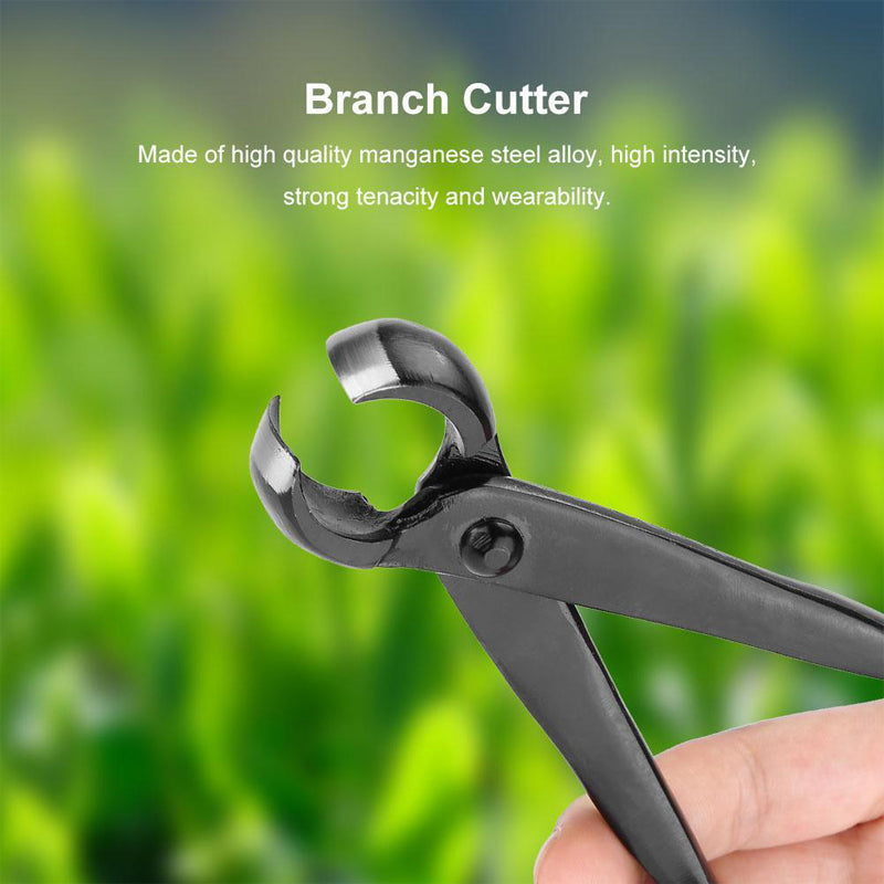 BonsaiEdge – Perfect Precision Cuts for Healthy, Beautiful Bonsai