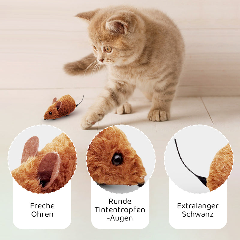 2+1 FREE | CatPlay – Chase, play, cheer – fun for your cat
