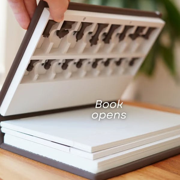 MagnaPlay – Chess Pieces Securely Attached for Effortless Play on the ...