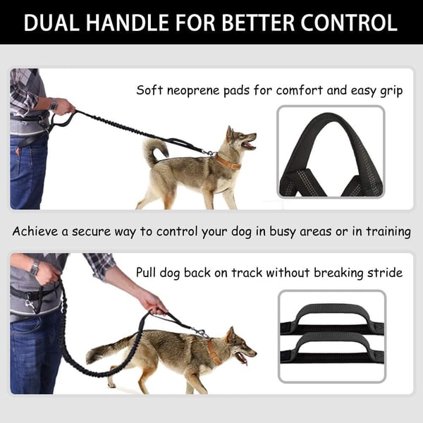 BestBuddy – Freedom & Control on Every Walk!