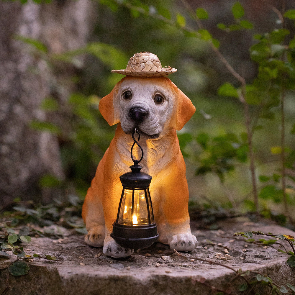 LumaPup – Illuminate Your Garden with Lifelong Solar Magic
