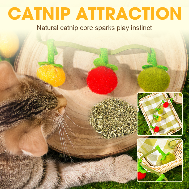 1+1 FREE | TomatoCat – Keeps Your Cat Active, Happy, and Playful Every Day