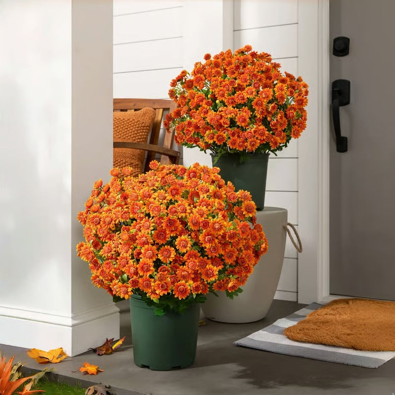 AutumnBloom – Lasting Autumn Splendor Without Maintenance!