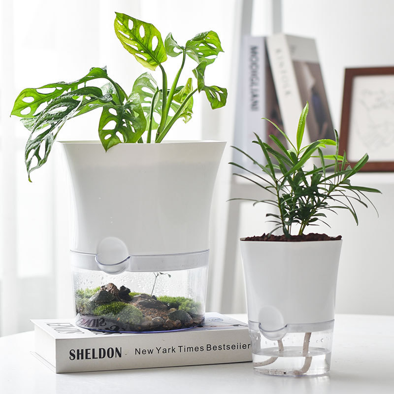 HydroEco – Perfect Plant Watering Without Guesswork