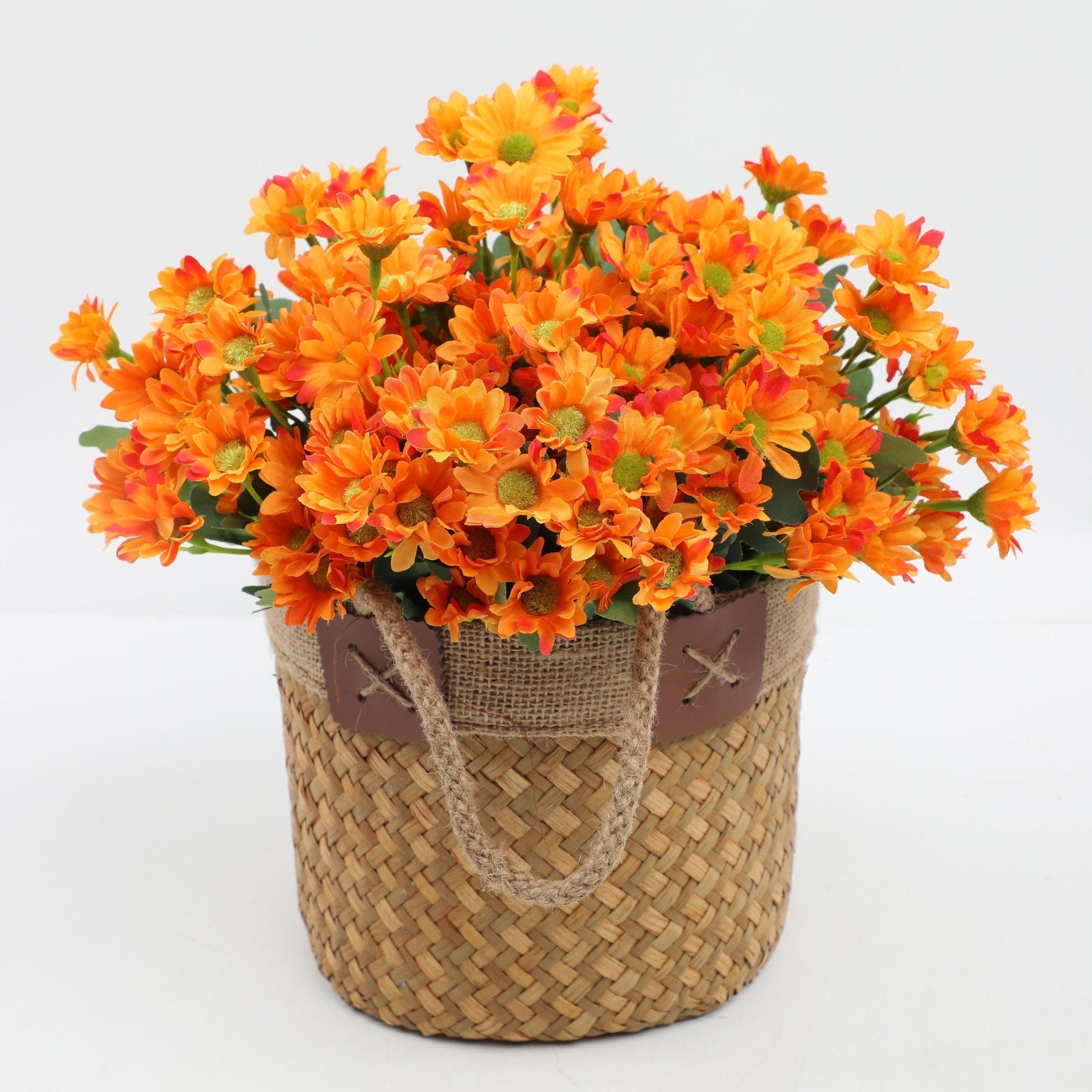2+1 FREE | BloomoraSunset – Autumnal Color Splendor That Never Fades