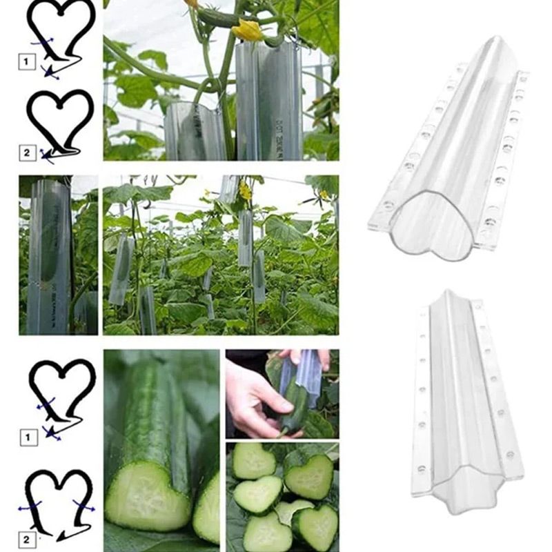 1+1 FREE | CucumberGlow – Grow Fun-Shaped Vegetables That Impress Everyone Instantly