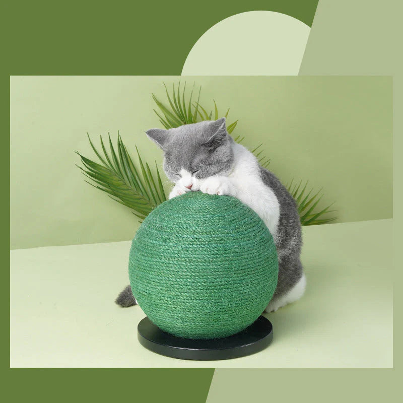 SafePaws - Create a Custom Safe Zone for Pets Anywhere