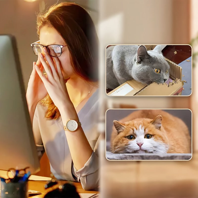 FeatherBounce – Play Fun for Active Cats!