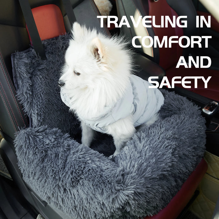 CarPaw – Travel safely and relaxed with your dog!