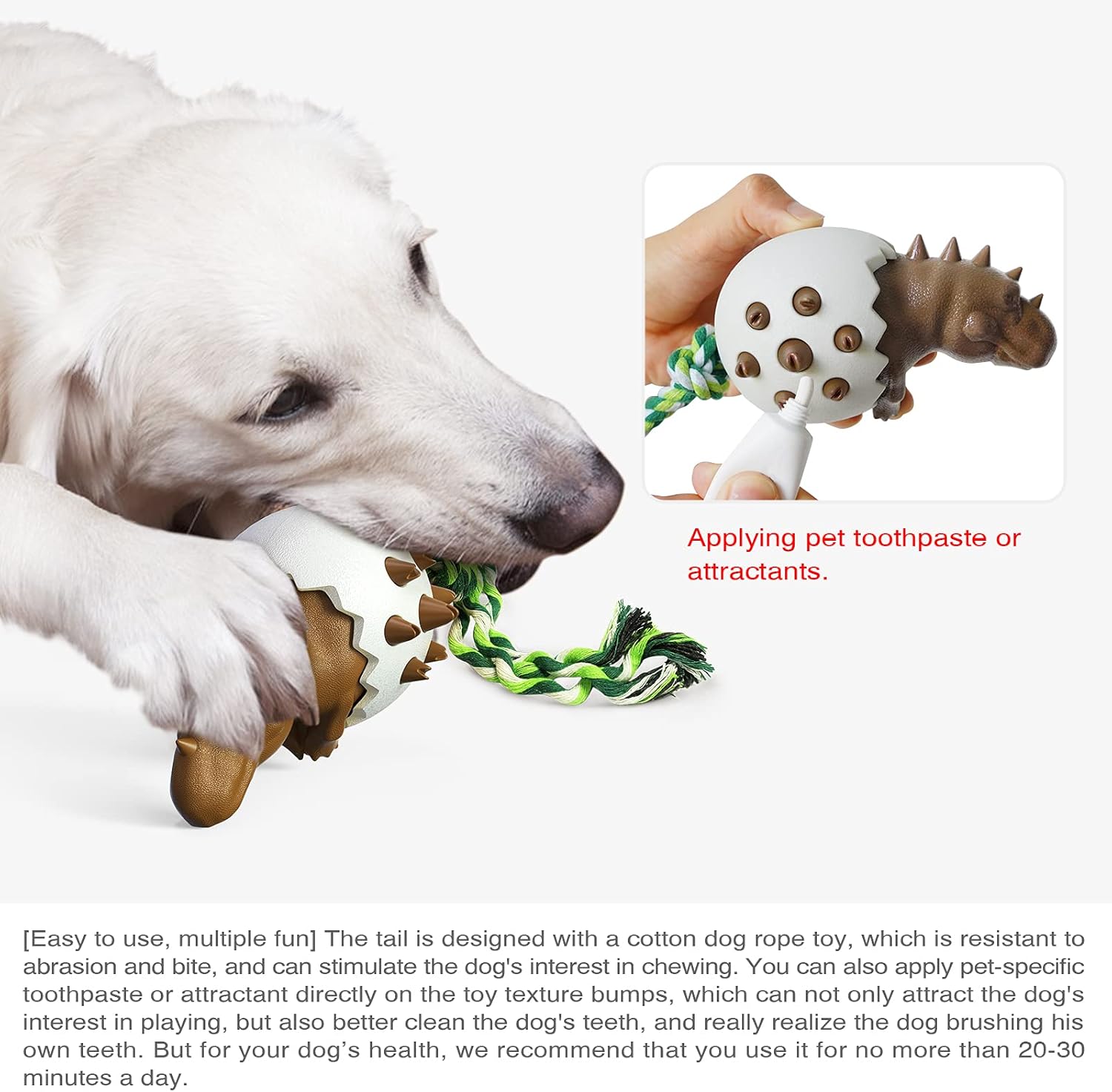 DinoEgg – The Indestructible Chew Egg for Healthy Dog Teeth!