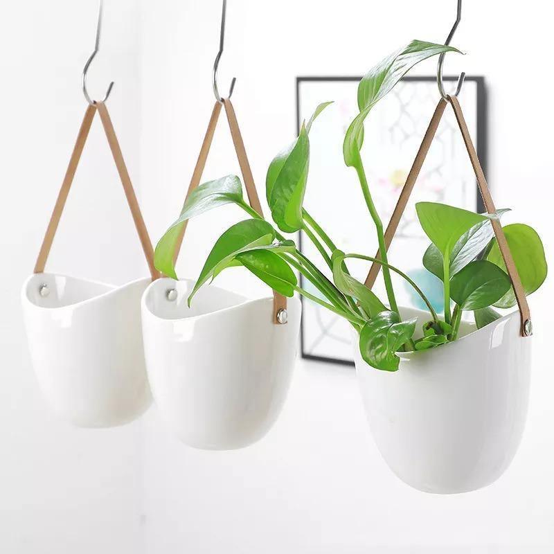 EcoPot – Instantly Transform Any Room with Stylish Hanging Planters