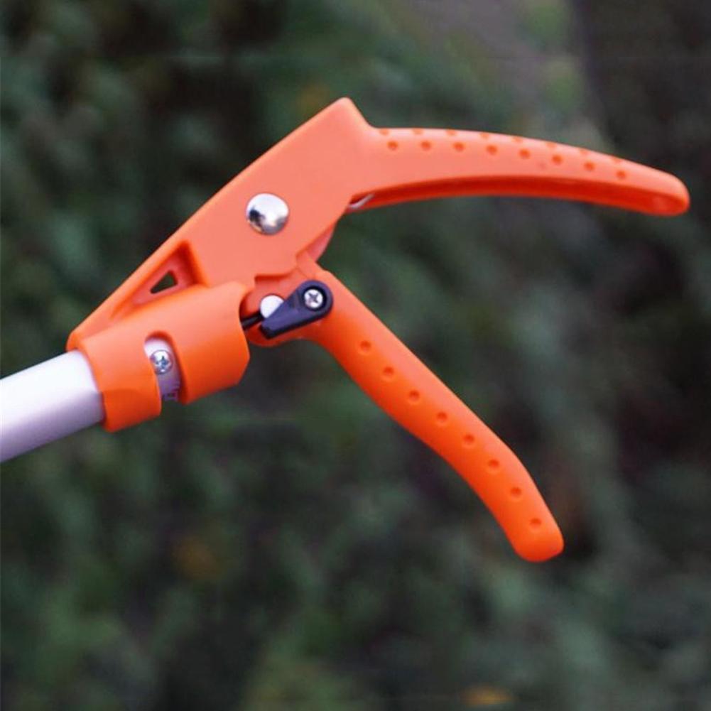 BranchMaster – Easily Reach and Cut High Branches Safely