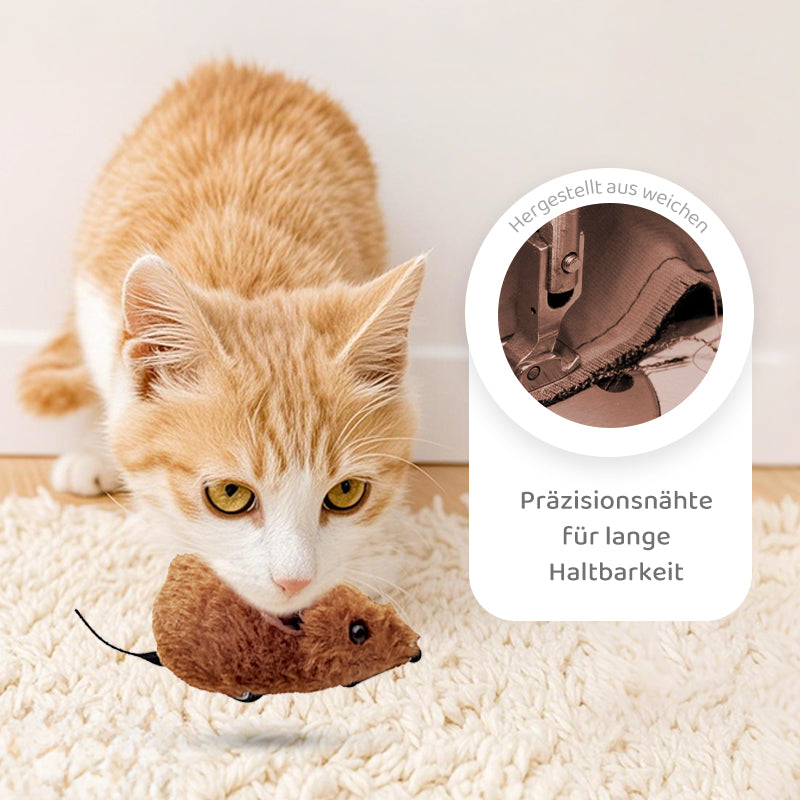 2+1 FREE | CatPlay – Chase, play, cheer – fun for your cat!