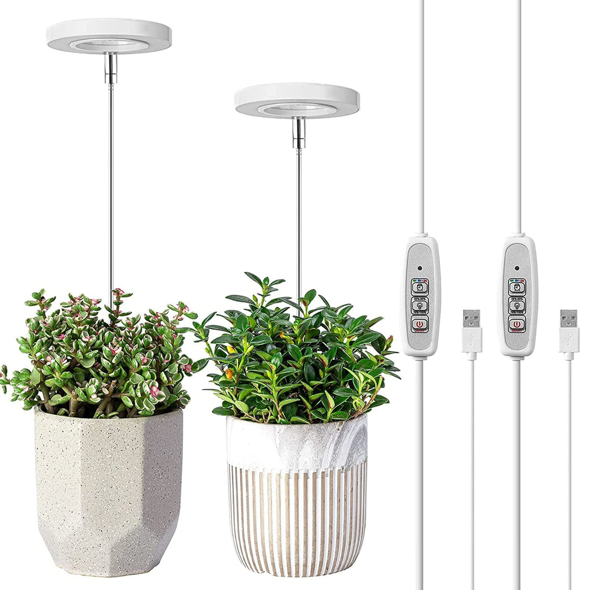 GrowLux - Promote the growth of houseplants with perfect full-spectrum light